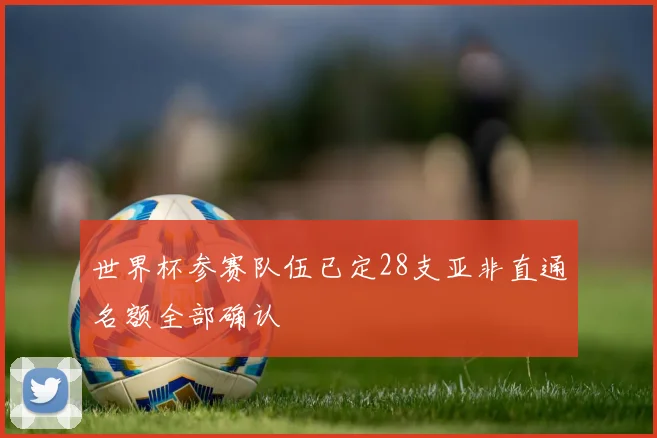 世界杯参赛队伍已定28支亚非直通名额全部确认