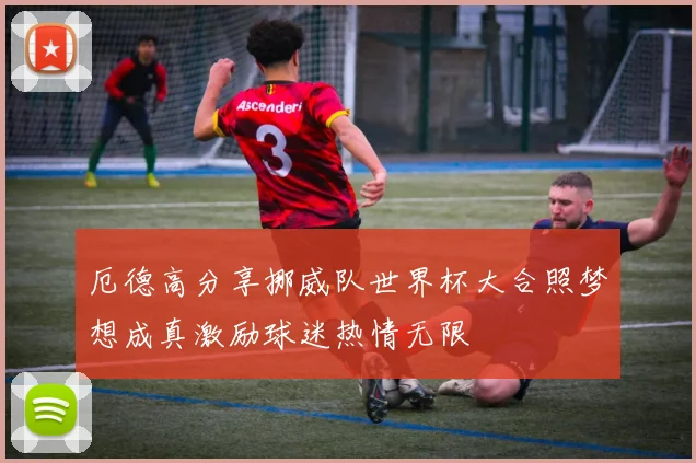厄德高分享挪威队世界杯大合照梦想成真激励球迷热情无限