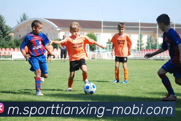 多媒体互动体验